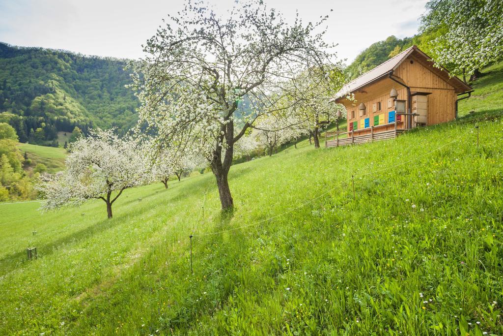 فيلا Tourist Farm Zelinc سيركنو المظهر الخارجي الصورة
